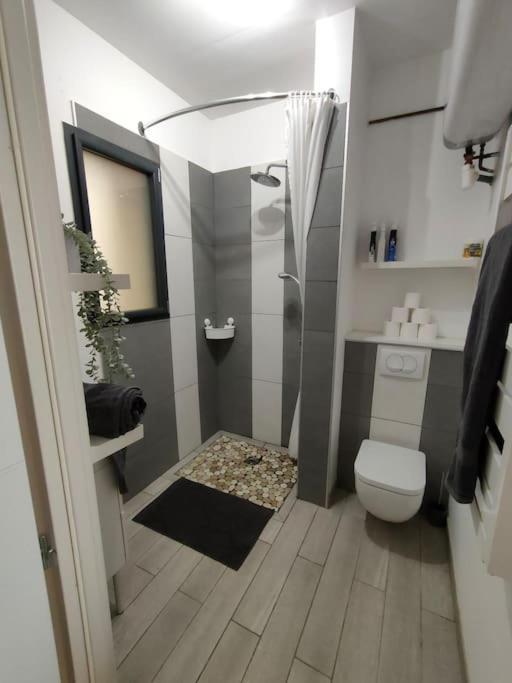 Patio Cosy Apartment Thizy-les-Bourgs Екстериор снимка